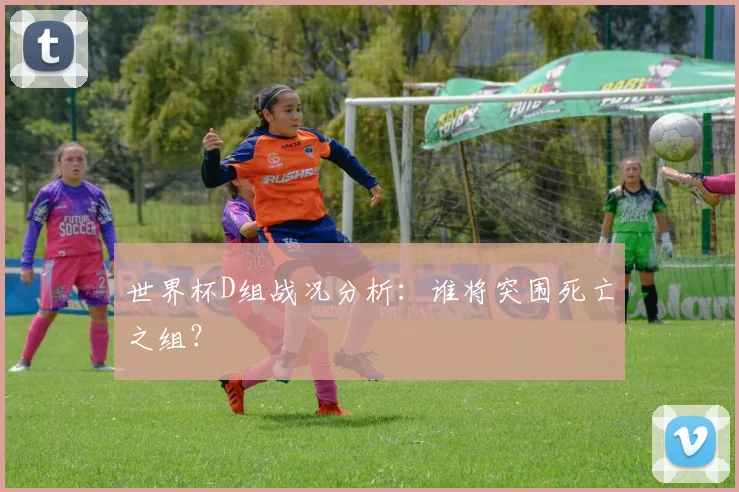 世界杯D组战况分析:谁将突围死亡之组?