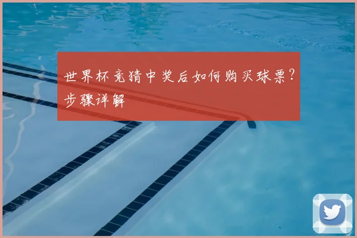 世界杯竞猜中奖后如何购买球票？步骤详解