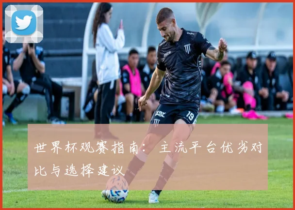 世界杯观赛指南:主流平台优劣对比与选择建议