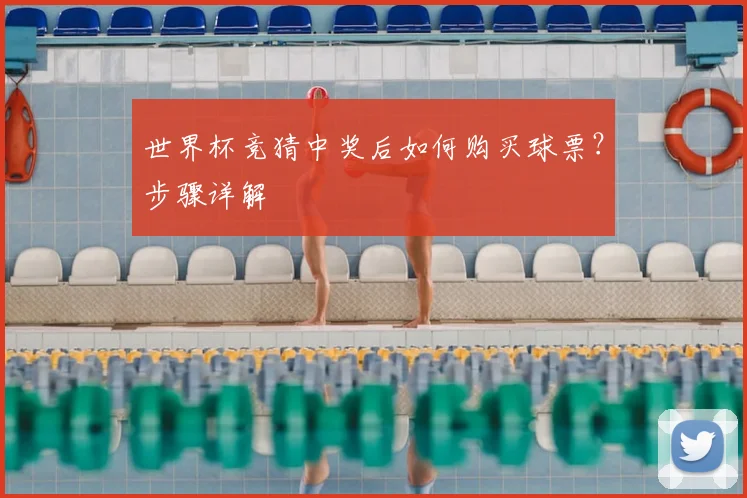 世界杯竞猜中奖后如何购买球票？步骤详解